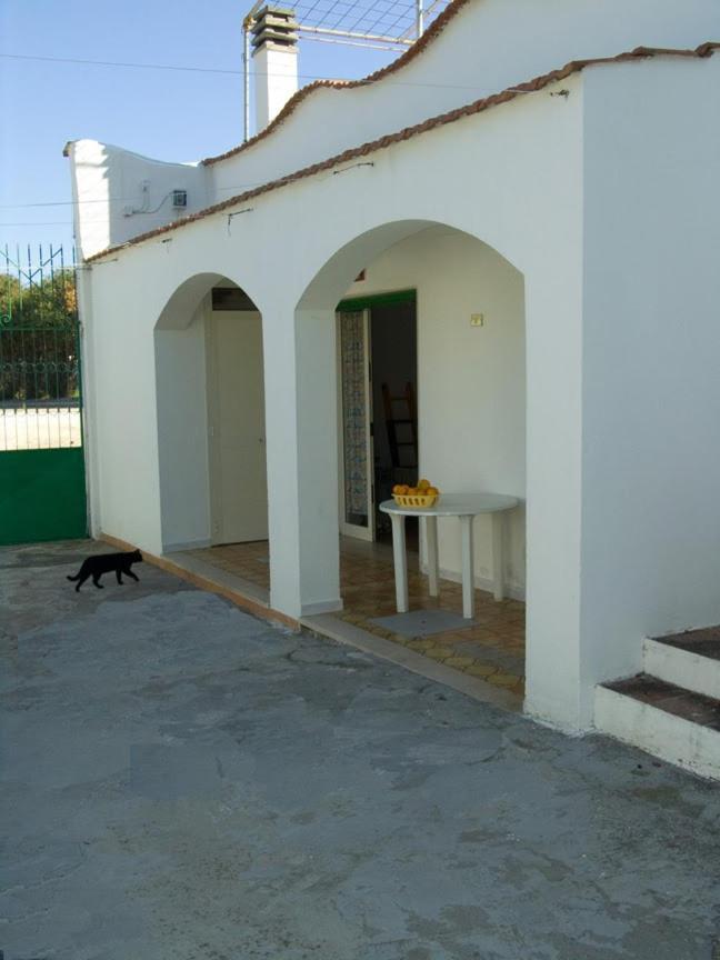 Penta Garden Apartamento Peschici Exterior foto
